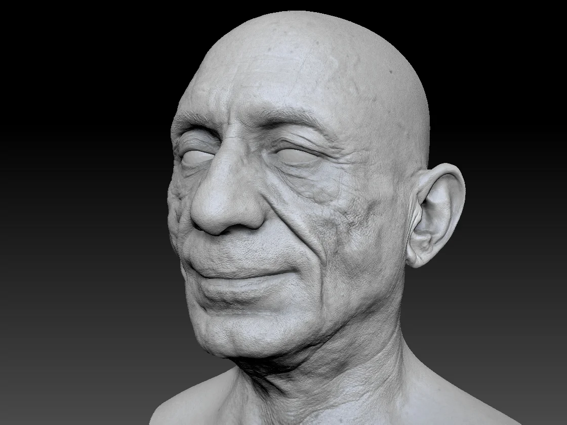 Human heads and FACS scans Render